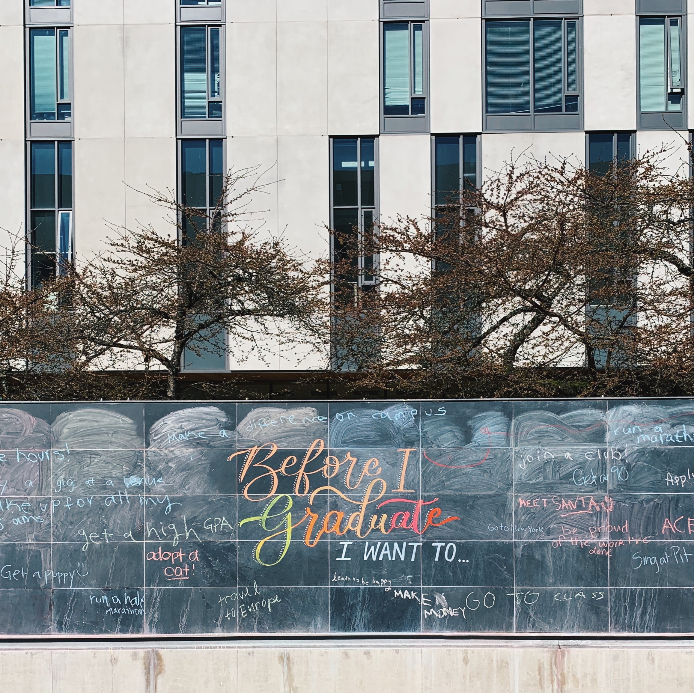 TiffanyQuon-2021 - chalkboard installation ubc