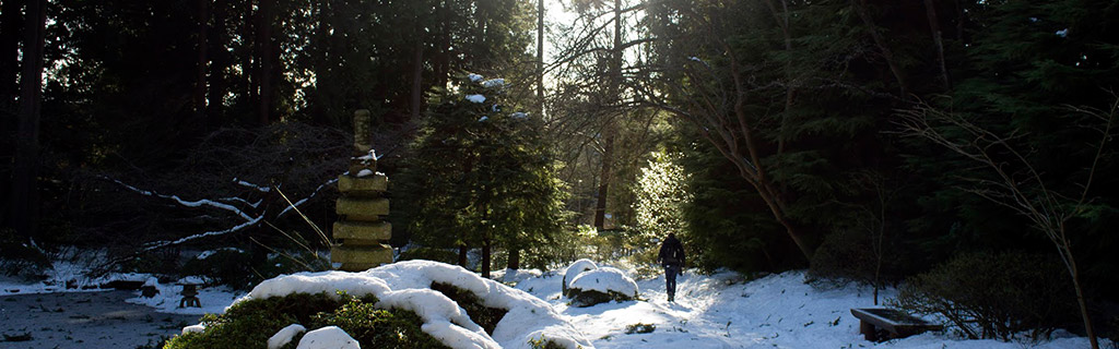 Person walking in snowy sunlit forest