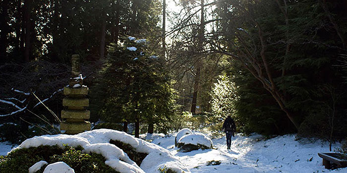 Student walking in a forest with snow on the ground