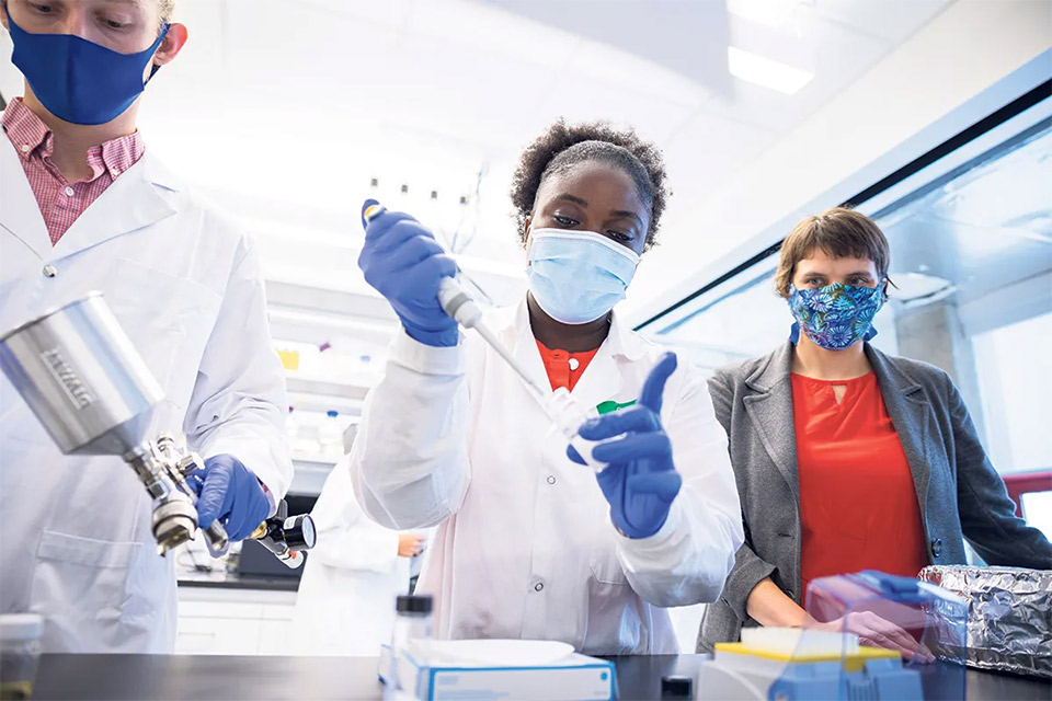 Unlocking material solutions from nature News UBC Engineering