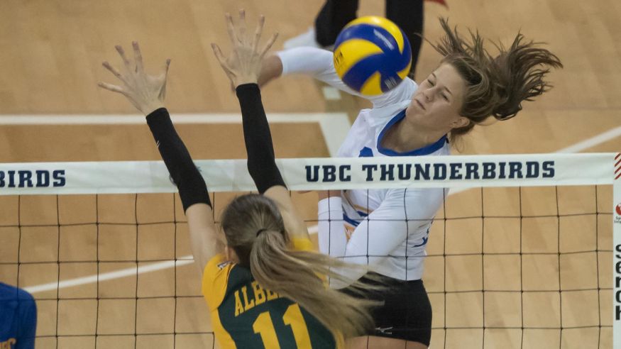 Volleyball image
