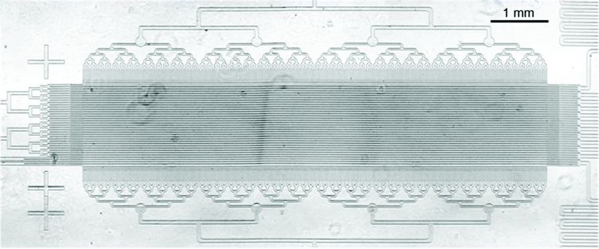 image of device