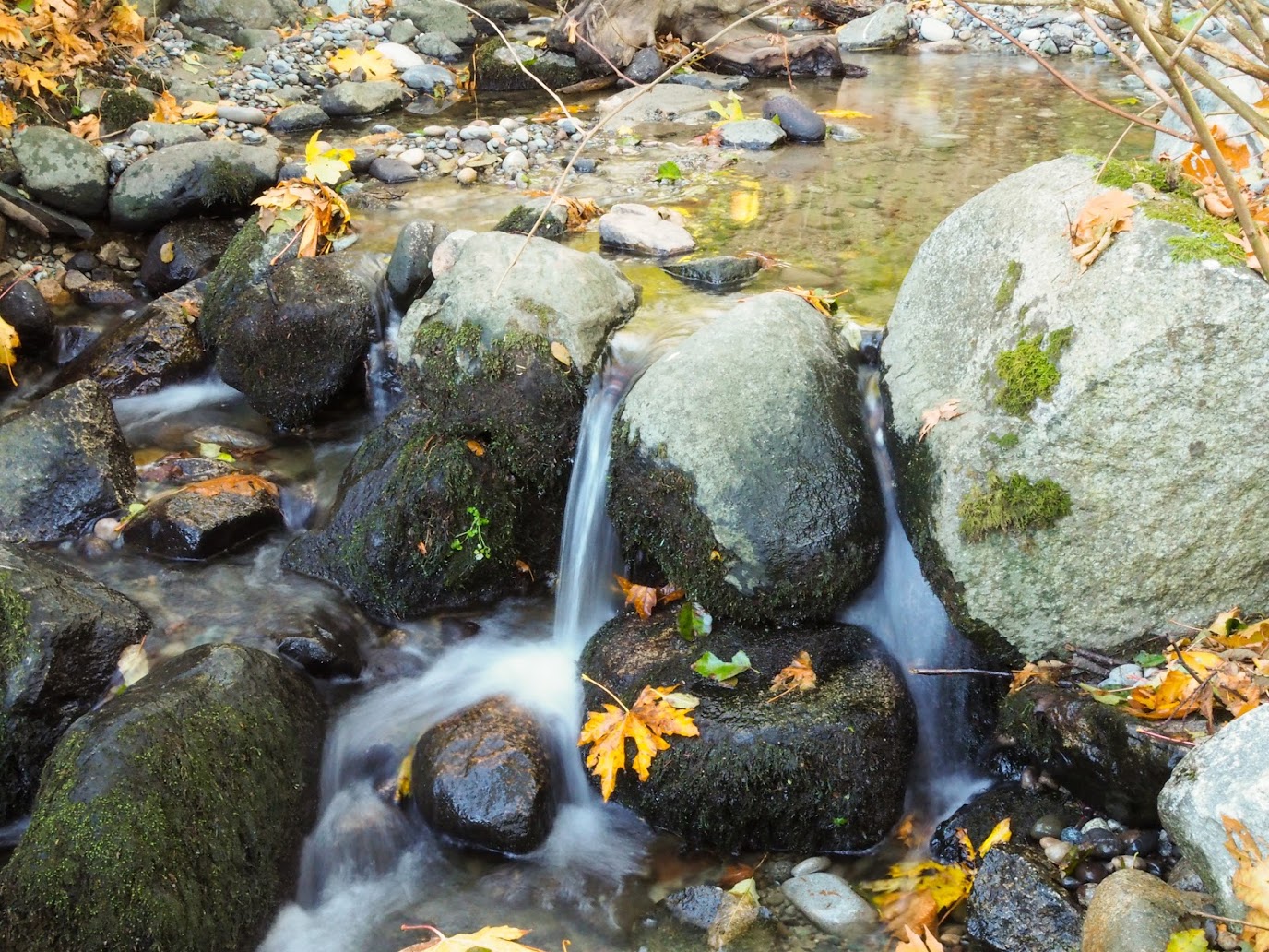 salish_creek_6