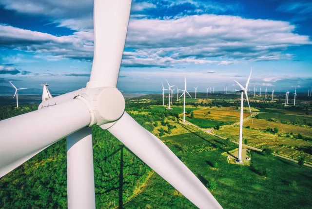 Wind-farms.jpg