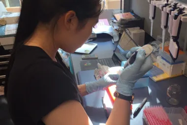 Team member doing an experiment.