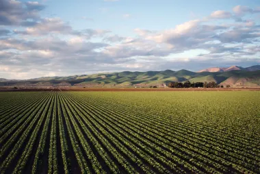 Large farming field with green hills in the distance