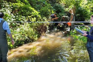 UBC Team inspecting sediment to determine pollution levels
