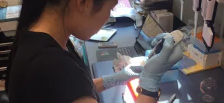 Team member doing an experiment.