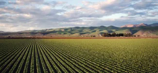 Large farming field with green hills in the distance