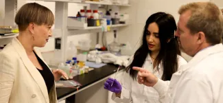 APSC researchers discuss spikeless