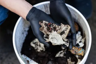 A researcher wearing black gloves handles compostable materials with worms on them above a bucket of soil.
