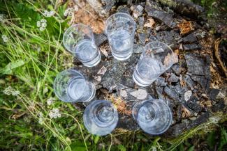 Aerial view of six glasses of clean drinking water displayed outdoors on a tree stump