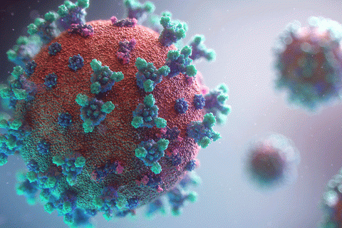 Red and blue coronavirus cell