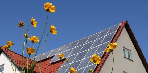 Solar panels on a roof