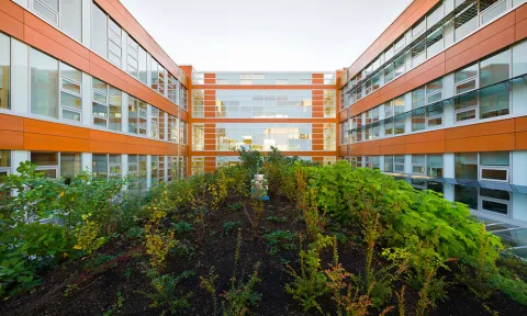 The interior courtyard of the Centre for Interactive Research on Sustainability