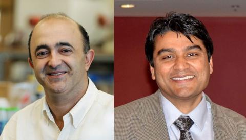 Dr. Anoush Poursartip and Dr. Rehan Sadiq 