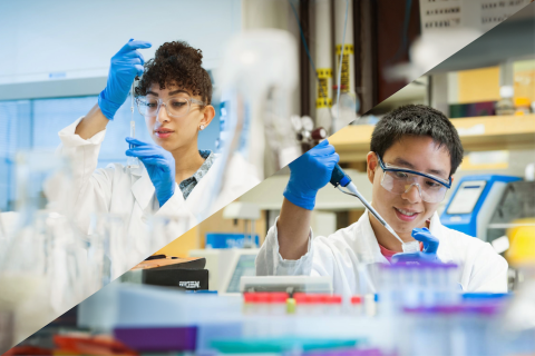 Engineers working in lab