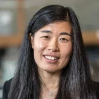 Wenying Liu